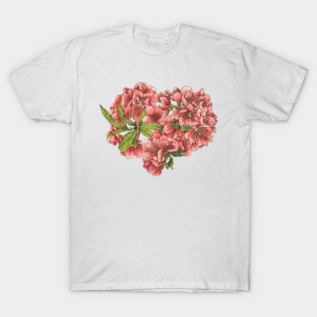 Quince flower T-Shirt by orsinha